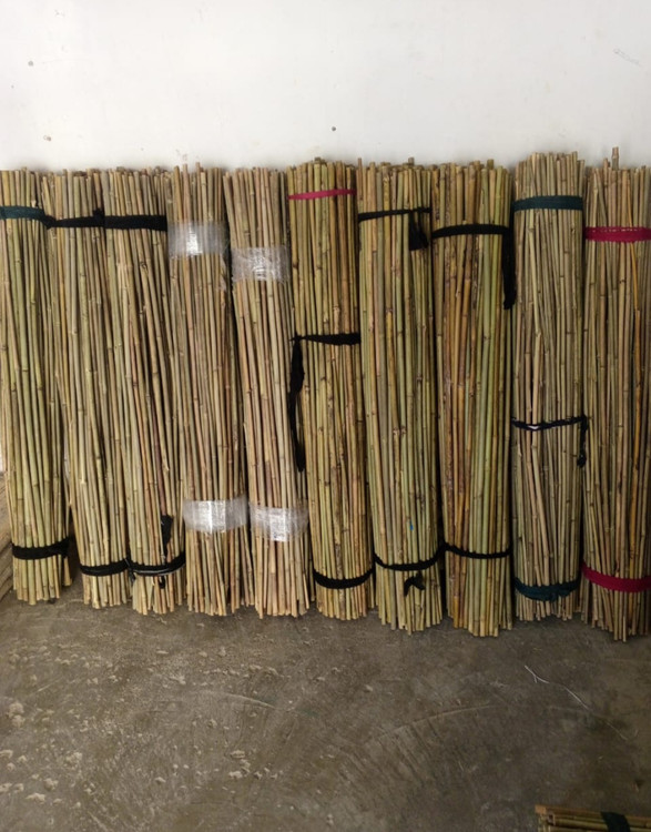 bamboo wood