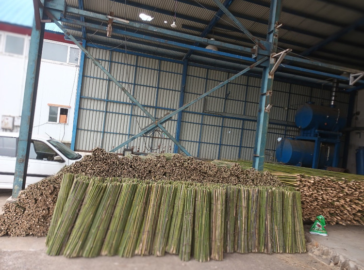 قیم پسته قیم گل قیم سرو